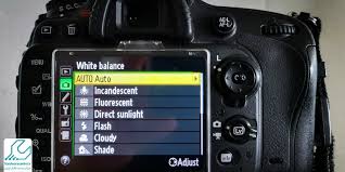 آموزش تنظیم وایت‌بالانس دستی برای عکاسی پرتره طبیعی