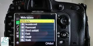 آموزش تنظیم وایت‌بالانس دستی برای عکاسی پرتره طبیعی