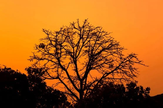 فضای منفی و قانون یکسومها