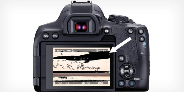 مفهوم بلیکیز و ماهیت واقعی آنها؛ آنچه دوربین به شما هشدار میدهد