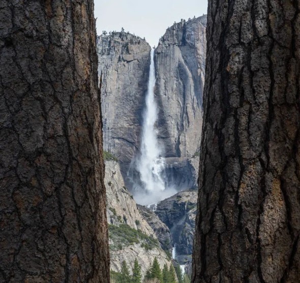 چند قاب طبیعی به ترکیببندیهایتان اضافه کنید