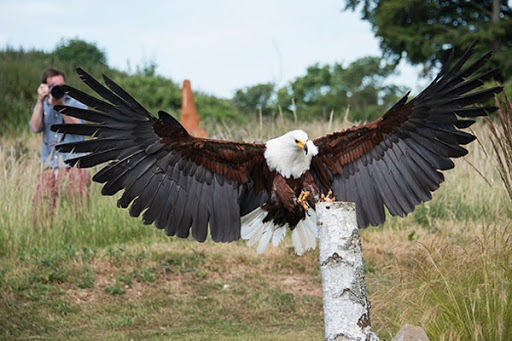 خرید دوربین سونی A7 IV با بهترین قیمت ۱۴۰۴؛ بررسی تخصصی و تجربه واقعی کاربران