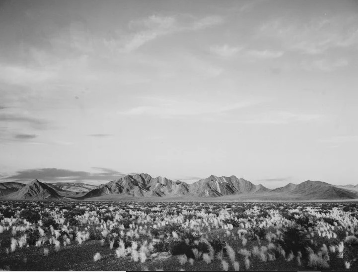 فضای منفی در نگاه سوژه