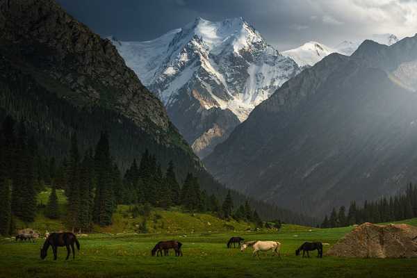 بهترین لنزهای سونی برای عکاسی طبیعت و منظره (Landscape)