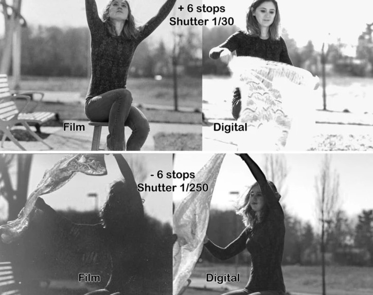 فرمت‌های تصویری دیجیتال