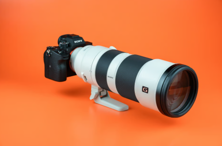 بررسی لنز Sony FE 200-600mm f/5.6-6.3 G