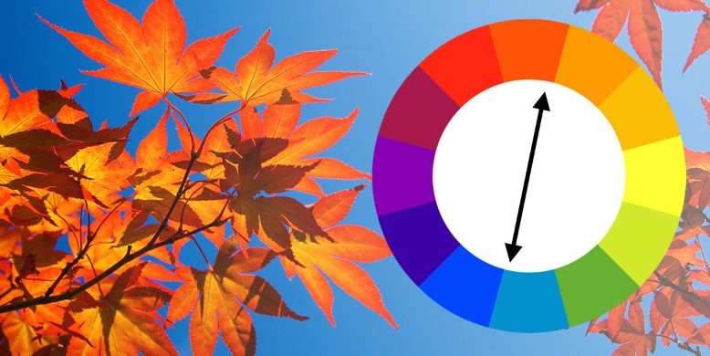 رنگهای مکمل در عکاسی