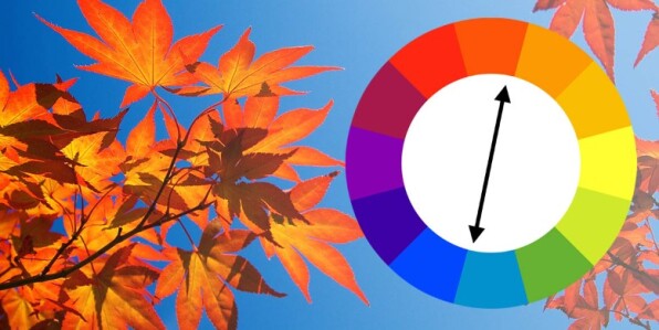 رنگ‌های مکمل در عکاسی