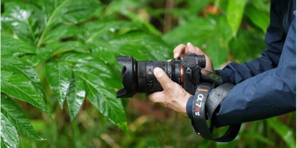 آیا دوربین‌های Sony مجهز به هوش مصنوعی (AI) قرار است عکاسان را بیکار کنند؟