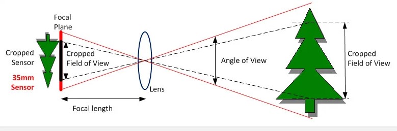 چرا کراپ فاکتور درک میدان دید را آسانتر میکند؟